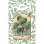 The Little Book of Trees |