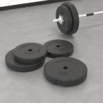 vidaXL Plăci de greutate, 4 buc., 30 kg, ciment