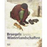 Bruegels Winterlandschaften | Tine Luk Meganck