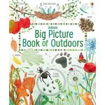 Big Picture Book of Outdoors | Minna Lacey