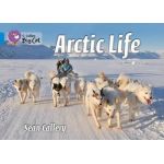 Arctic Life | Sean Callery