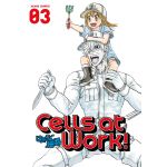 Cells At Work! Vol. 3 | Akane Shimizu