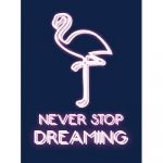 Never Stop Dreaming |