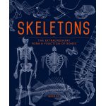 Skeletons - The Extraordinary Form and Function of Bones | Andrew Kirk