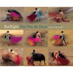 Bullfight | Ricardo B. Sanchez
