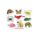 Classic Wooden Peg Puzzles | Charley Harper