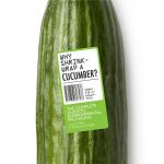 Why Shrinkwrap a Cucumber? The Complete Guide to Environmental Packaging | Stephen Aldridge, Laurel Miller