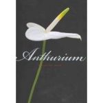 Anthurium | Pim Van Den Akker