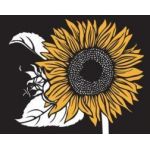 Bloom Eco-notecards | Nikki McClure