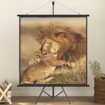 vidaXL Ecran de proiecție cu trepied 50" 1:1