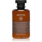 Apivita Holistic Hair Care White Willow & Propolis sampon anti-matreata pentru par gras