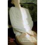 20 Fragments of a Ravenous Youth | Xiaolu Guo