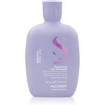 Alfaparf Milano Semi di Lino Smooth sampon pentru indreptarea parului pentru par indisciplinat