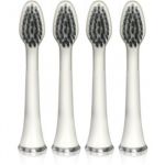 Magnitudal MagniCarbon MQ664 capete de schimb pentru periuta de dinti
