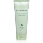 Aveda Pure Abundance™ Volumizing Clay Conditioner balsam pentru volum pentru păr slab cu argila