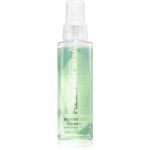 FLESHLIGHT Fleshwash spray de curățare