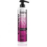 Delia Cosmetics Cameleo Anti Static şampon de netezire