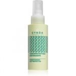 Gyada Cosmetics Spirulina spray protector pentru par intins