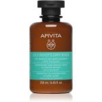 Apivita Holistic Hair Care Nettle & Propolis Sampon pentru scalp gras si fire de par cu terminatii uscate