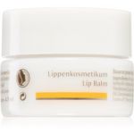 Dr. Hauschka Eye And Lip Care balsam de buze cu efect de nutritiv