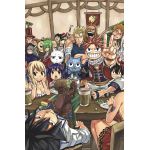 Fairy Tail - Manga Box Set 4 | Hiro Mashima
