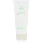 Annayake CleanSkin Gentle Cleansing Gel Gel facial de curatare perfecta pentru curatare