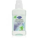 Bione Cosmetics Dentamint Nightly Reset apă de gură pentru noapte