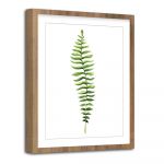 Poster 30x40 cm Greenery - Styler