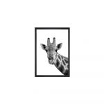 Poster 24x29 cm - Tablo Center