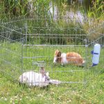Țarc pentru rozătoare Trixie – Plaček Pet Products