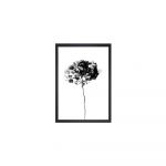 Poster 24x29 cm Velvet Flower - Tablo Center