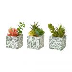 Plante artificiale 3 buc. (înălțime 12 cm) Cactus – Casa Selección