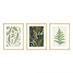 Poster 30x40 cm Fern