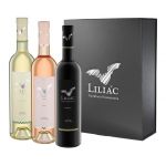 Pachet Classic Liliac | Liliac