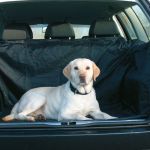 Husă de protecție pentru mașină Trixie – Plaček Pet Products