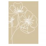 Poster 29x41 cm White Poppy – Veronika Boulová