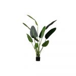 Strelitzia artificială (înălțime 164 cm) – WOOOD