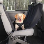 Husă de protecție pentru mașină Trixie – Plaček Pet Products