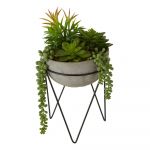Suculentă artificială (înălțime 36 cm) Fiori – Premier Housewares