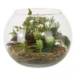 Suculentă artificială (înălțime 15 cm) Fiori – Premier Housewares