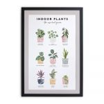 Tablou de perete cu ramă Really Nice Things Indoor Plants, 30 x 40 cm