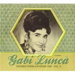 Sounds from a Bygone Age Vol.5 | Gabi Lunca