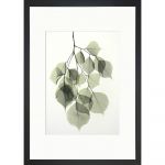 Poster 24x29 cm Tender Leaves - Tablo Center