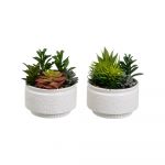 Plante artificiale 2 buc. (înălțime 19 cm) Cactus – Casa Selección