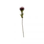 Plantă artificială (înălțime 60 cm) Protea – PT LIVING