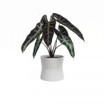 Ghiveci din ceramică ø 20 cm Diana – Artevasi