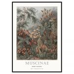 Poster cu ramă 51x71 cm Tafel 72 – Malerifabrikken