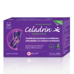 Celadrin Extract Forte 500 mg, 60 capsule, Good Days Therapy