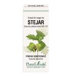 Extract din muguri de Stejar, 50ml, PlantExtrakt