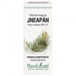 Extract din muguri de jneapan, 50ml, PlantExtrakt